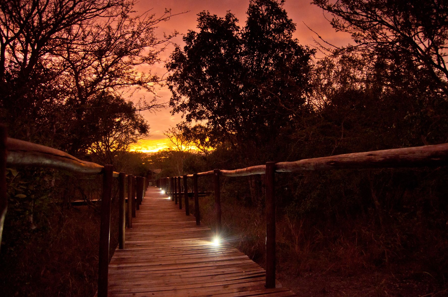 Kruger Safari Lodge thumbnail 6